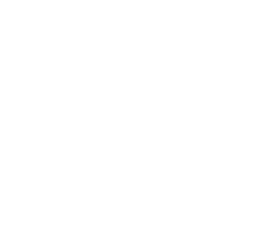 גוריז פתרונות איטום